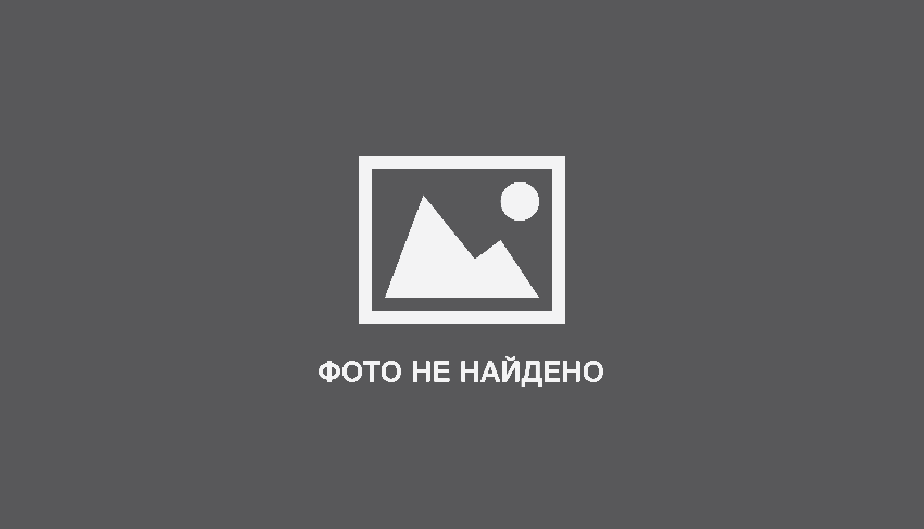 «Аэрофлот» разрешил перевозить питомцев на соседнем кресле в самолете